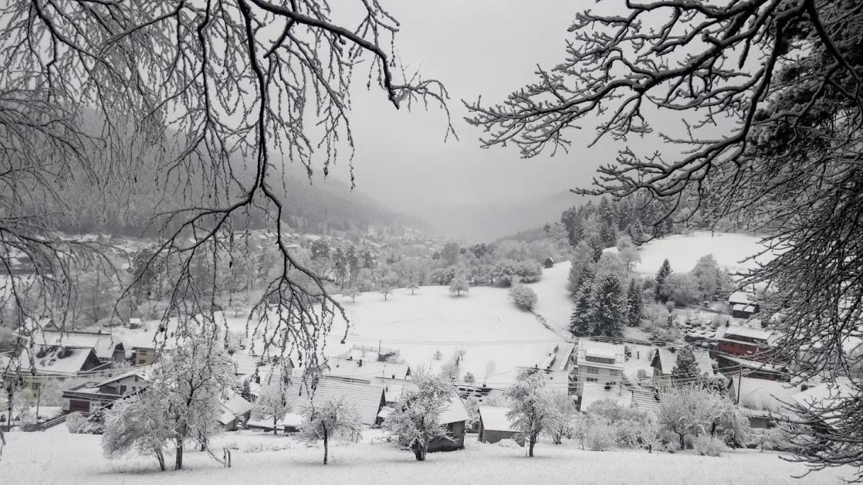Ferienwohnung Mit Aussicht Enzklosterle Luaran gambar