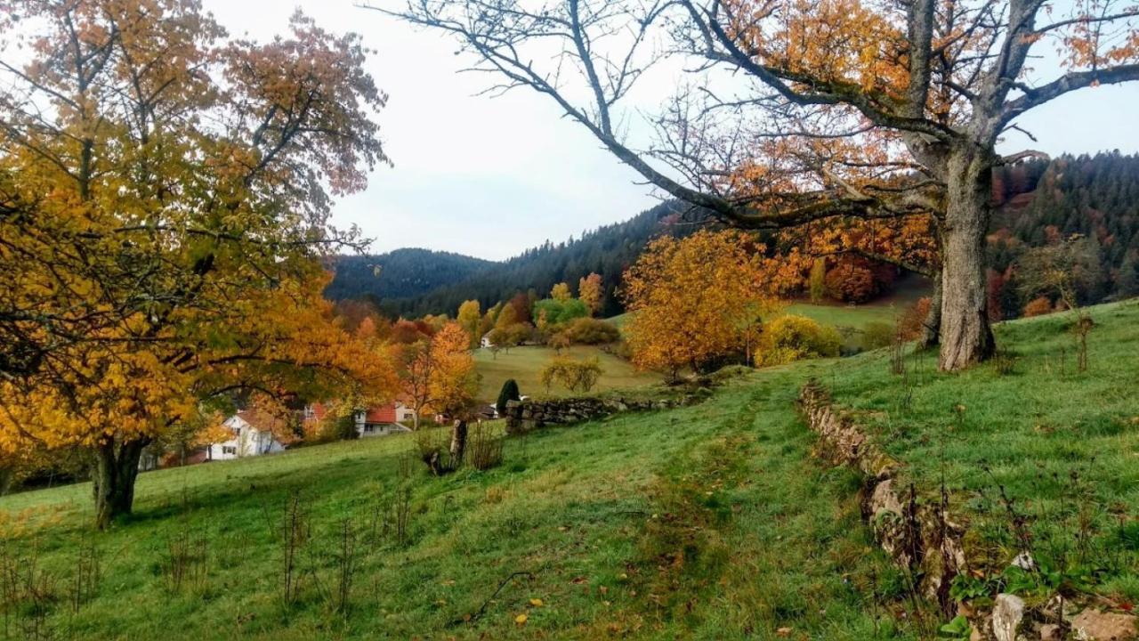Ferienwohnung Mit Aussicht Enzklosterle Luaran gambar